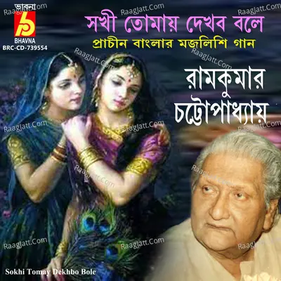 Sokhi Tomay Dekhbo Bole Cover