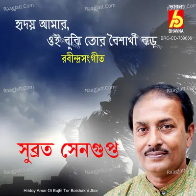 Hridoy Amar Oi Bujhi Tor Boishakhi Jhor