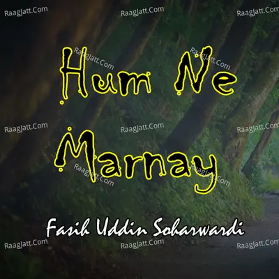 Hum Ne Marnay Poster