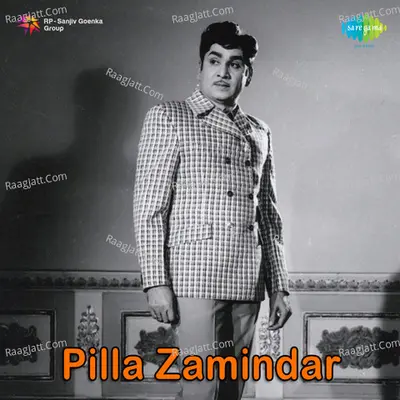 Pilla Zamindar Poster