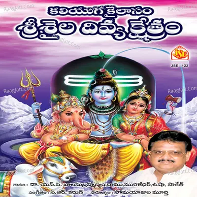 Kaliyuga Kailasam Sri Saila Divya Kshetram - C. H. Karunakar