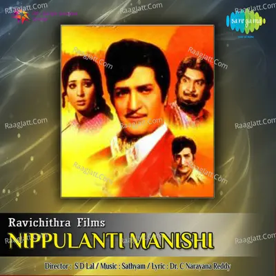 Nippulanti Manishi Poster