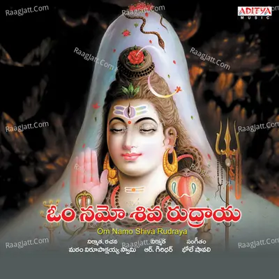Om Namo Shiva Rudraya - V.Rama Krishna
