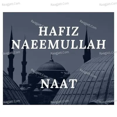 NEW NAATS PASHTO VOL 4 Poster