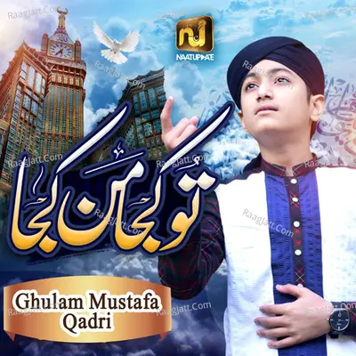 Tu Kuja Mann Kuja - Single Cover