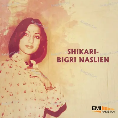Shikari / Bigri Naslien Poster
