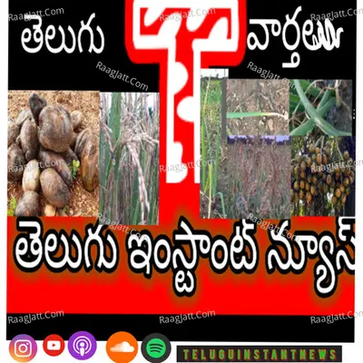 Telugu Instant News - season - 4 - Telugu Instant News