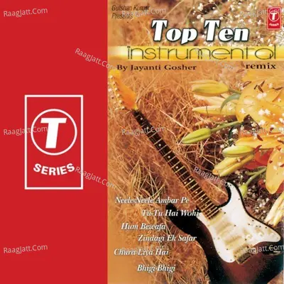Top Ten Remix Poster