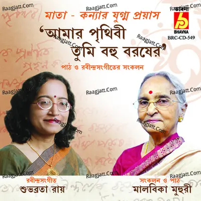 Amar Prithibi Tumi Bahu Barasher - Subhabrata Roy