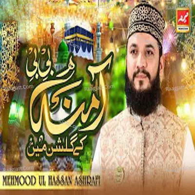 Amna Bibi Key Ghulshan Mai Poster