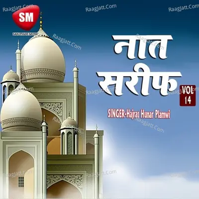 Naat Sharif Vol-14 - Hajrat Hunar Plamwi