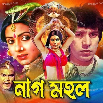 Naag Mohol Poster