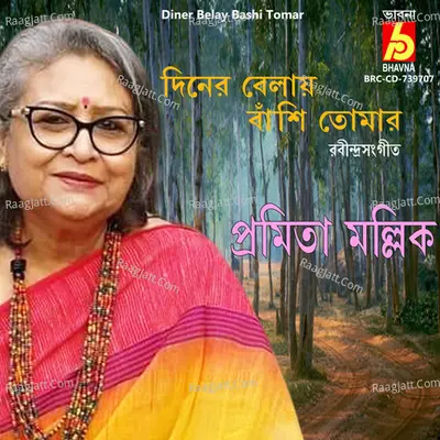 Diner Belay Bashi Tomar Cover