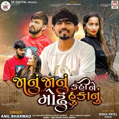 Janu Janu Kahi Ne Modhu Hukanu Cover