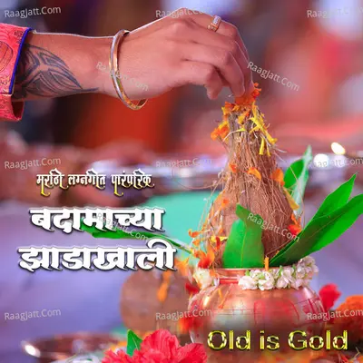 Badamcha Jhadakhali Cover