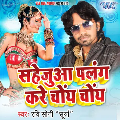 Sahejua Palang Kare Choye Choye Poster