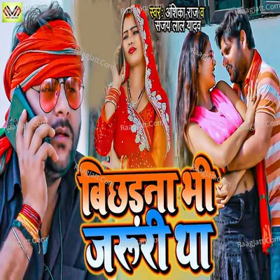 Bichhdana Bhi Jaruri Tha Cover