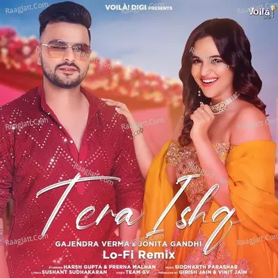 Tera Ishq (Lo-Fi Remix) Cover