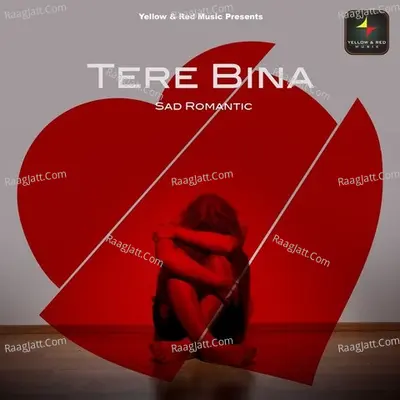 Tere Bina Cover