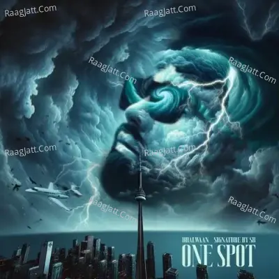 One Spot