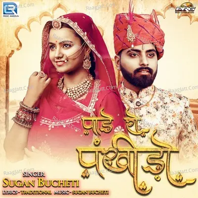 Pade Ro Pankhido Cover