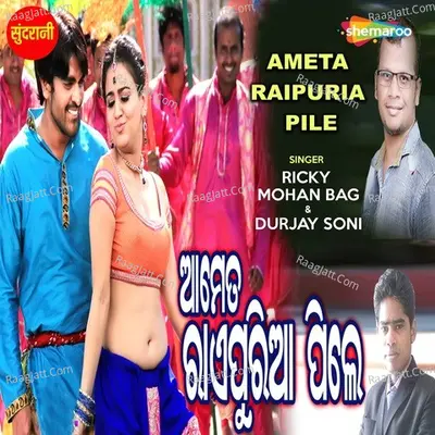 Ameta Raipuria Pile Cover
