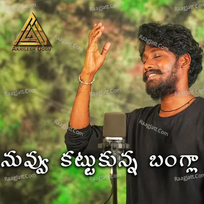 Nuvvu Kattukunna Bangla Cover