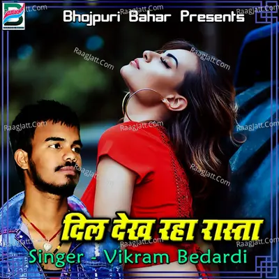 Dil Dekh Raha Rasta Poster