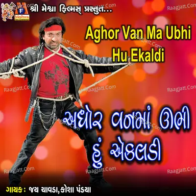 Aghor Van Ma Ubhi Hu Ekaldi Cover