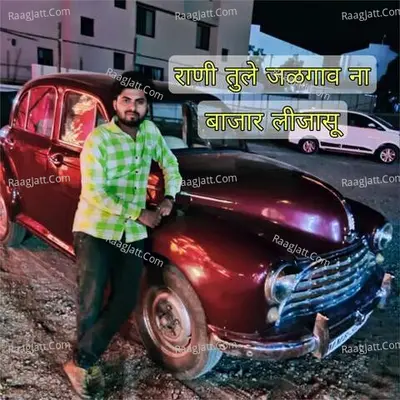 Vilas Bagul Image