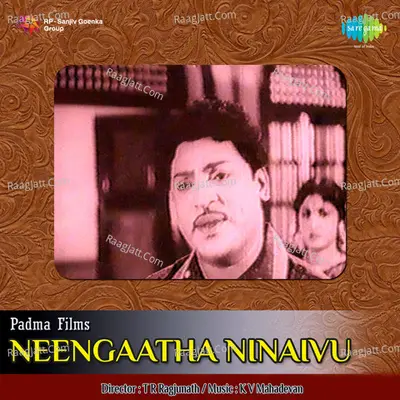 Neengaatha Ninaivu Cover
