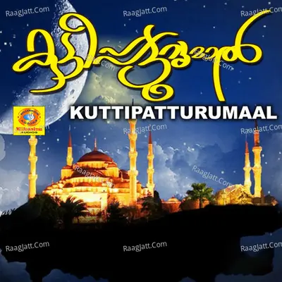 Kuttipatturumaal Poster