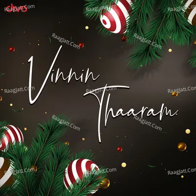 Vinnin Thaaram - Binu Anand
