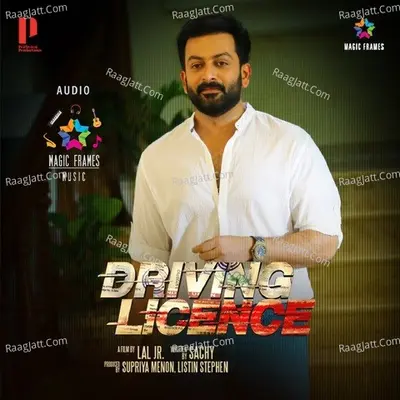 Driving Licence Cover