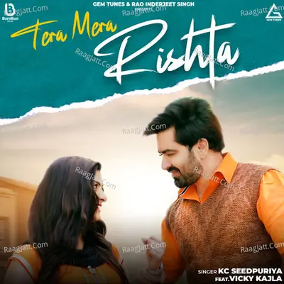 Tera Mera Rishta Cover