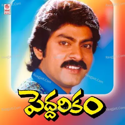 Peddarikam - Raj-Koti