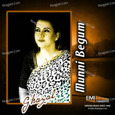 Best of Munni Begum Poster