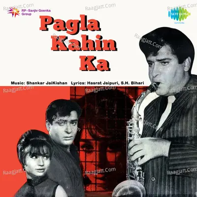 Pagla Kahin Ka Poster
