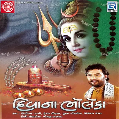 Deewana Bhole Ka Poster