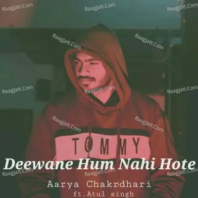 Deewane Hum Nahi Hote Cover