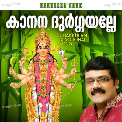 Manoj Krishnan Image
