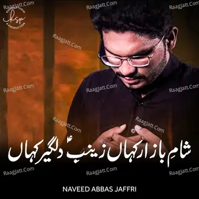 Sham Bazaar Kaha Zainab E Dilgir Kaha