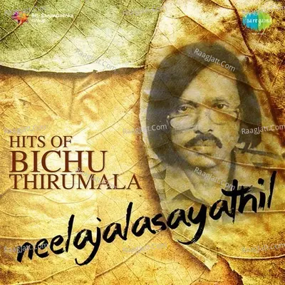 Hits of Bichu Thirumala - Shyam