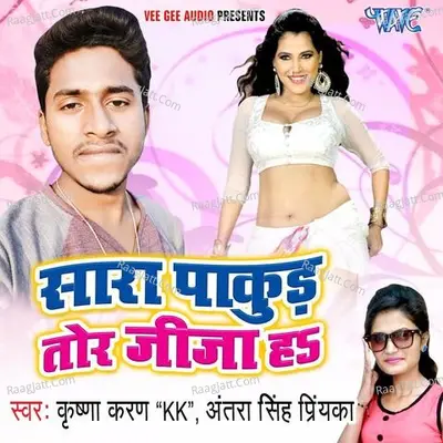 Sara Pakud Tohar Jija Ha Cover