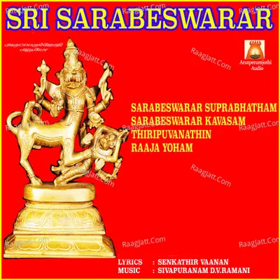 Sri Sarabeswarar - D. V. Ramani