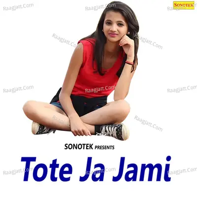 Tote Ja Jami - Max Studio