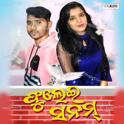 Phulei Sanam Cover