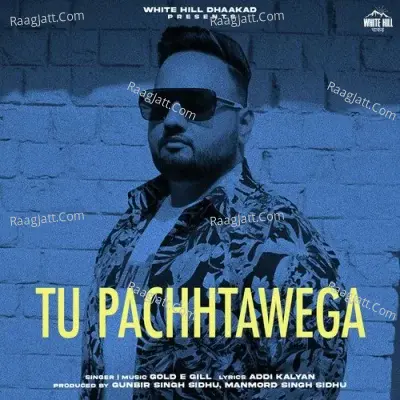Tu Pachhtawega Cover