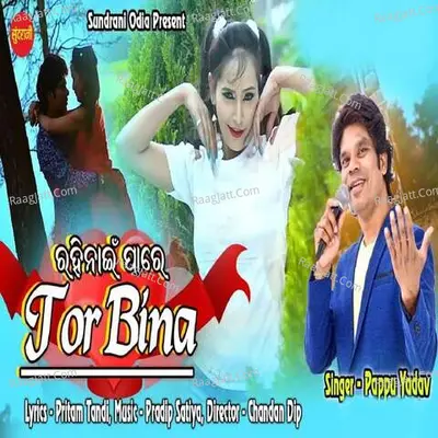 Tor Bina Cover