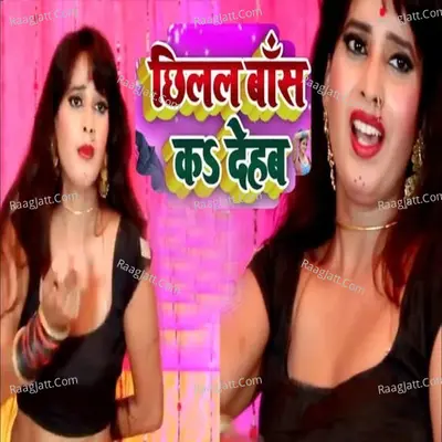 Chilal Baas Kar Dehab Cover